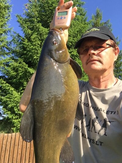 Lynas, 1,7 kg — Antalieptės HE