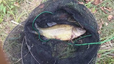 Lynas, 0,5 kg