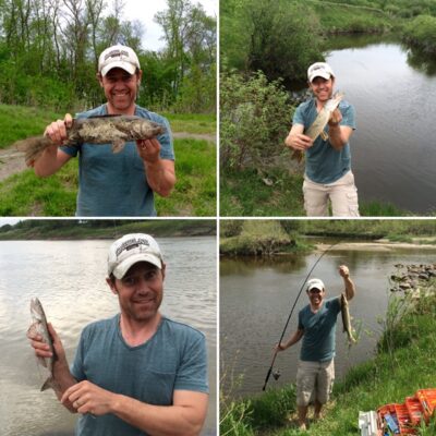 Walleye