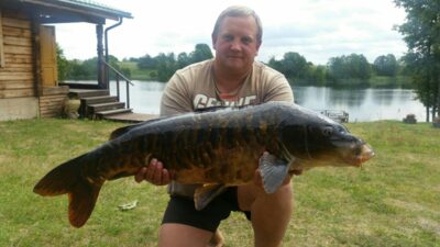 Paprastasis karpis, 13,5 kg