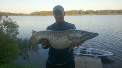 Lydeka, 7,3 kg — Kupiškio