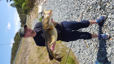 Menkė, 7,0 kg