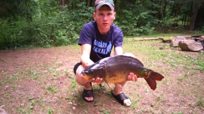 Paprastasis karpis, 4,5 kg