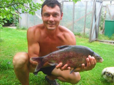 Karšis, 2,3 kg