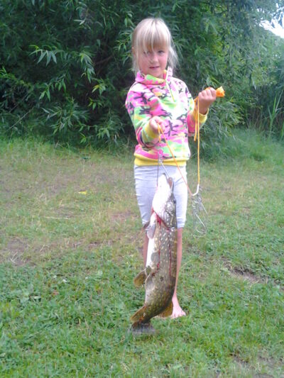 Lydeka, 2,9 kg