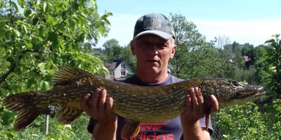 Lydeka, 5,1 kg
