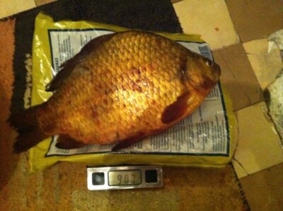 Auksinis karosas, 0,9 kg — Krivėnų