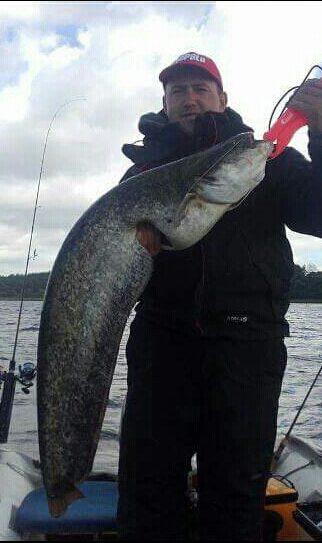 šamas, 9,2 kg