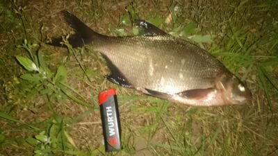 Karšis, 0,4 kg — Pagojės