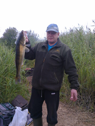 Starkis, 2,5 kg