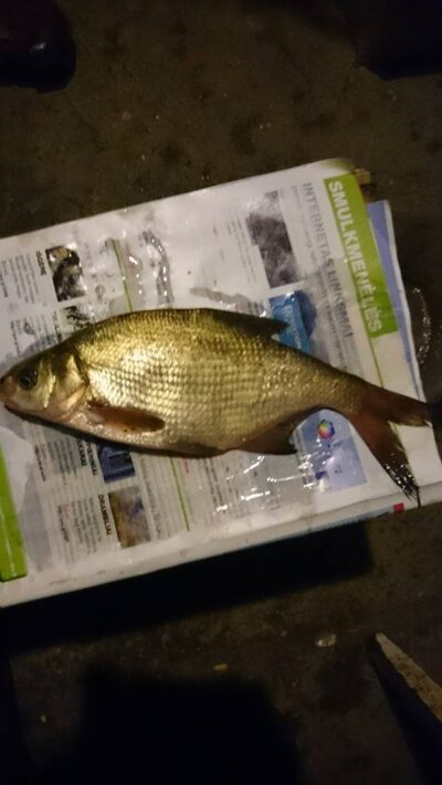 Karšis, 0,3 kg — Sujainių