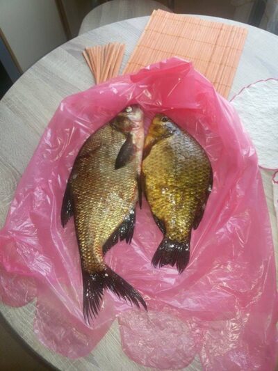 Karšis, 0,8 kg