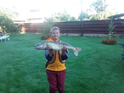 Starkis, 3,5 kg — Mituva