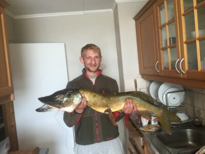Lydeka, 6,5 kg — Maridalsvannet