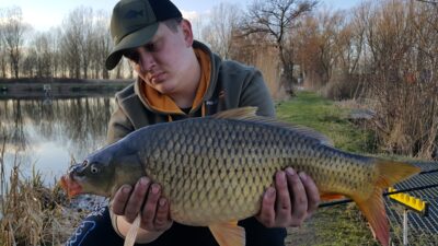 Paprastasis karpis, 5,4 kg