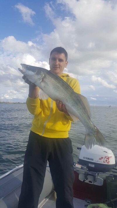 Starkis, 3,1 kg — Kuršių