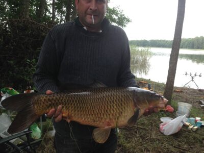 Paprastasis karpis, 9,0 kg