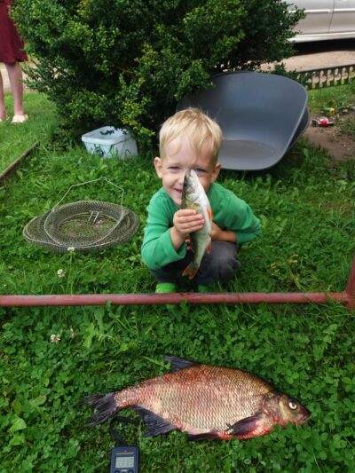 Karšis, 1,3 kg — Pagryžuvio