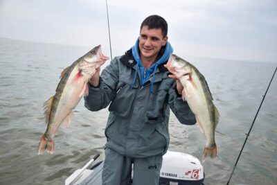 Starkis, 1,7 kg — Kuršių