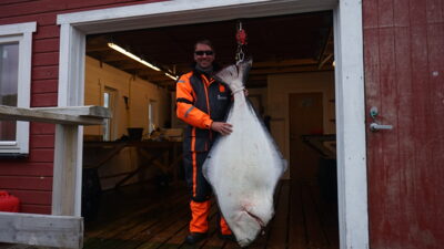 Paprastasis otas, 62,0 kg — Barenco jūra