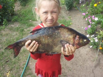 Karšis, 1,9 kg — Žagarės