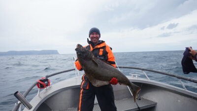 Paprastasis otas, 19,5 kg