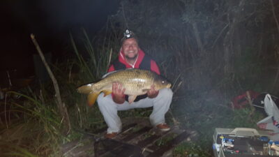 Paprastasis karpis, 7,9 kg — Minkelių