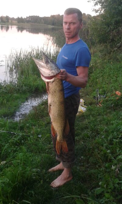 Lydeka, 6,3 kg — Tauručių
