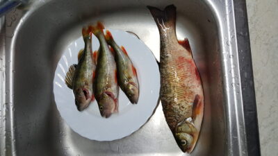 šapalas, 0,5 kg — Nemunas