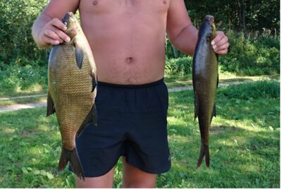 Karšis, 4,6 kg