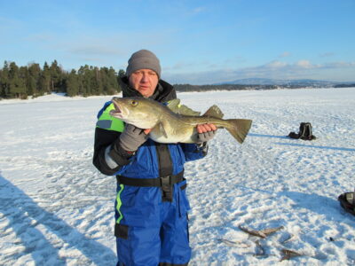 Menkė, 5,3 kg