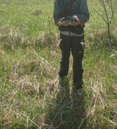 Ešerys, 0,5 kg — Šventoji