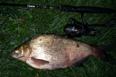Karšis, 1,0 kg — Nemunas