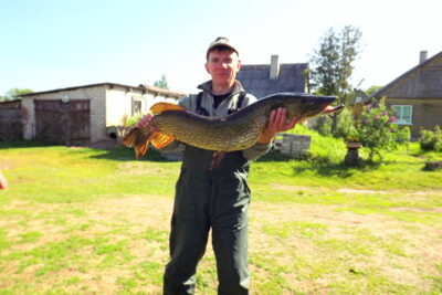 Lydeka, 7,5 kg