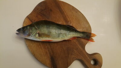 Ešerys, 0,2 kg