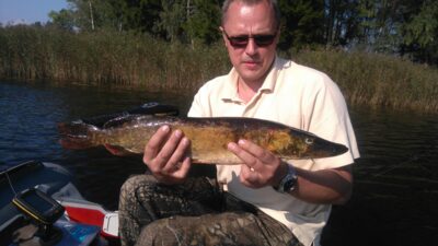 Lydeka, 2,1 kg