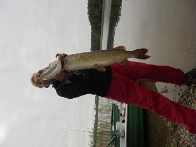 Lydeka, 6,3 kg