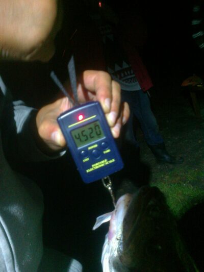 Starkis, 4,5 kg