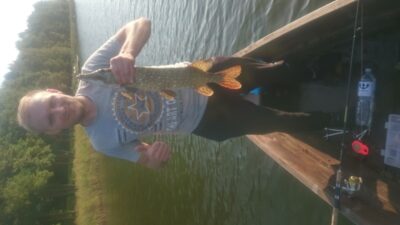 Lydeka, 1,6 kg