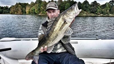 Starkis, 3,8 kg