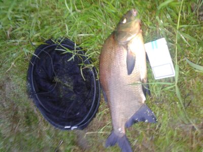 Karšis, 1,9 kg — Neris