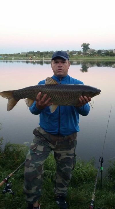 Baltasis amūras, 6,7 kg