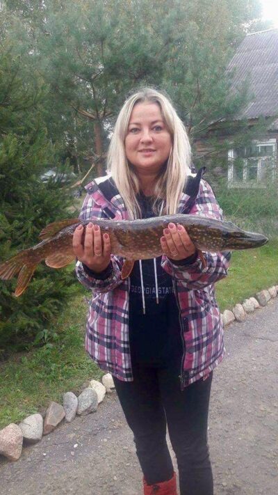 Lydeka, 2,5 kg