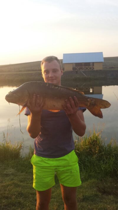 Paprastasis karpis, 11,0 kg