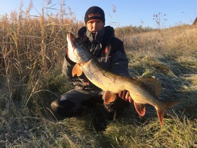 Lydeka, 8,2 kg