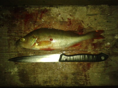 Ešerys, 0,2 kg — Lėvuo
