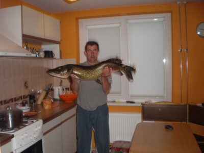 Lydeka, 8,8 kg — Ageniškio