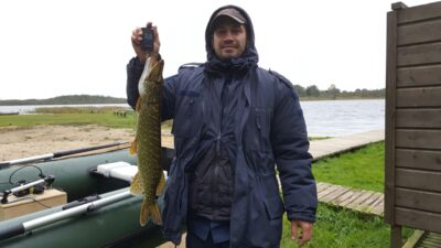 Lydeka, 2,0 kg
