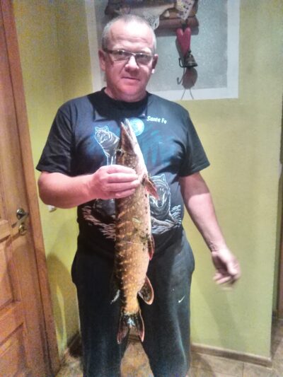 Lydeka, 1,9 kg — Lėvuo