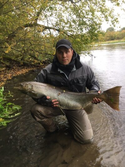Atlantinė lašiša, 13,9 kg — Neris